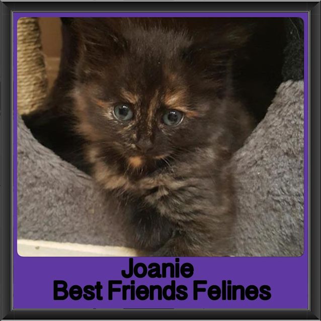 Photo of Joanie 