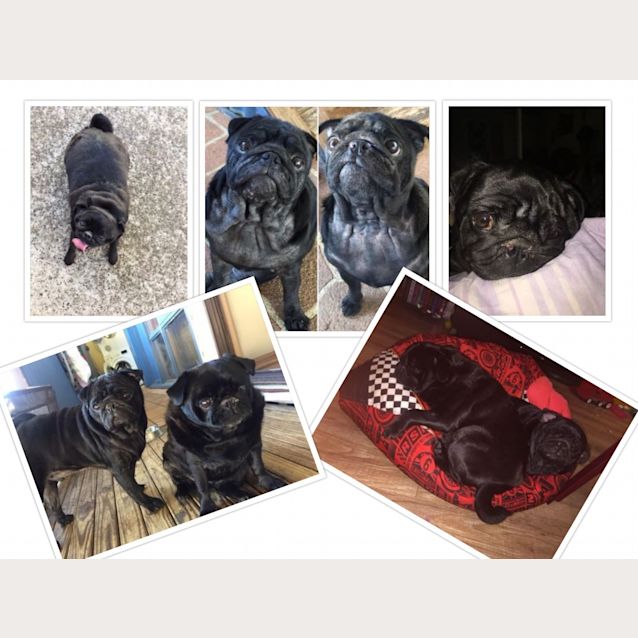 Photo of Alfie And Ruby