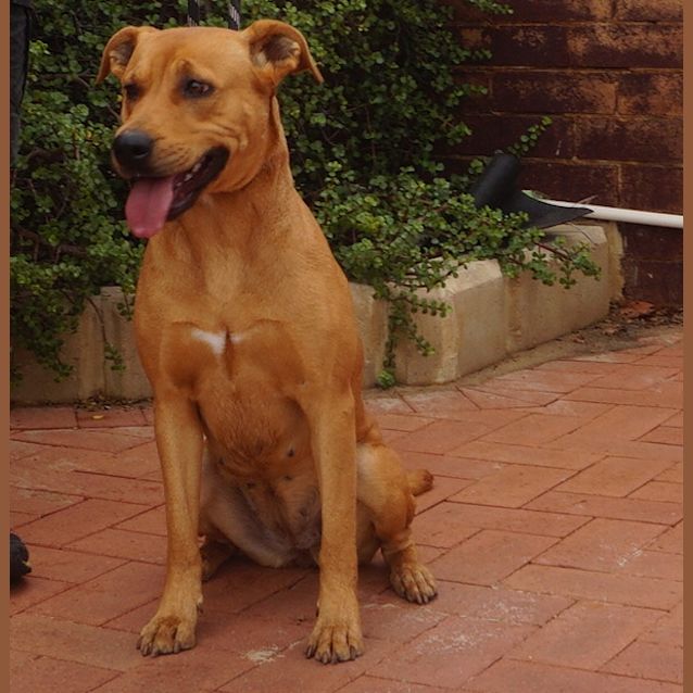 Photo of Leah