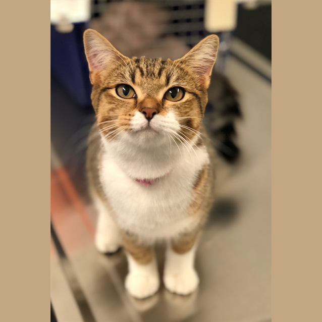Photo of Bonnie