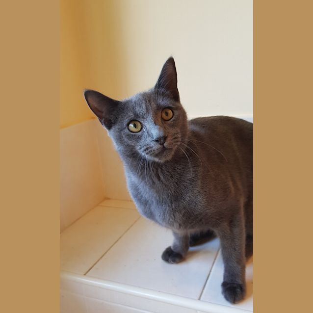 Photo of Max