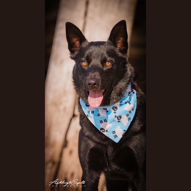 Photo of River **Adopted**