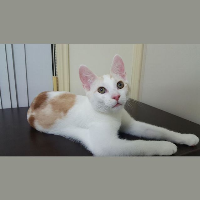 Photo of Jesse 