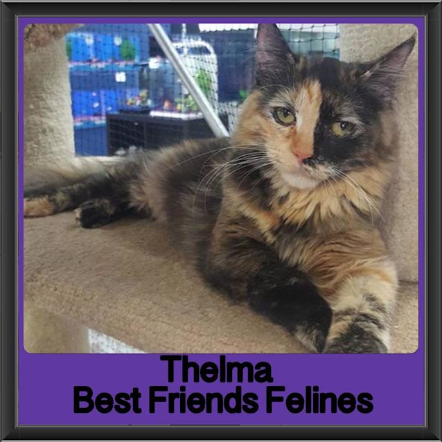Photo of Thelma 