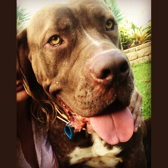 Photo of Bulla