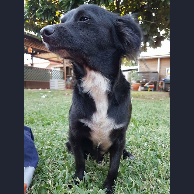 Photo of Misty & Ash