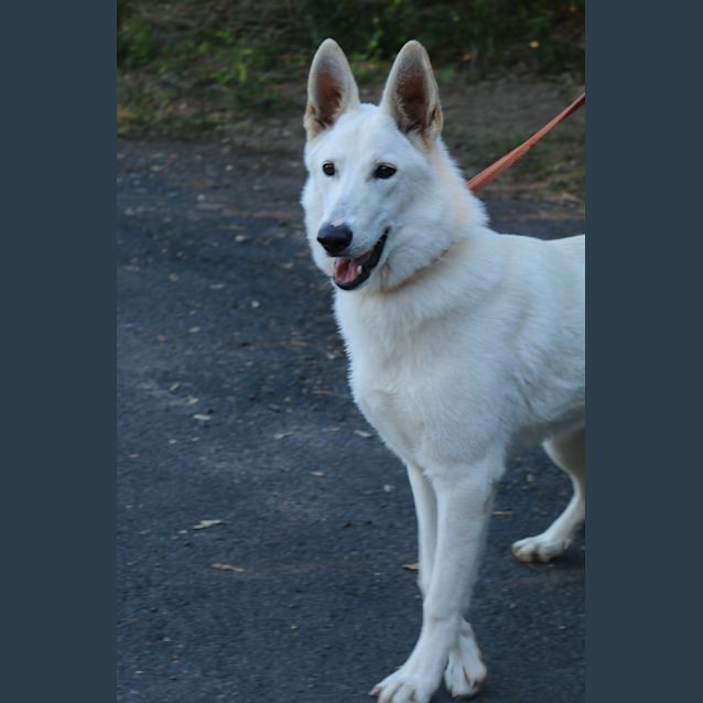 Photo of Luna