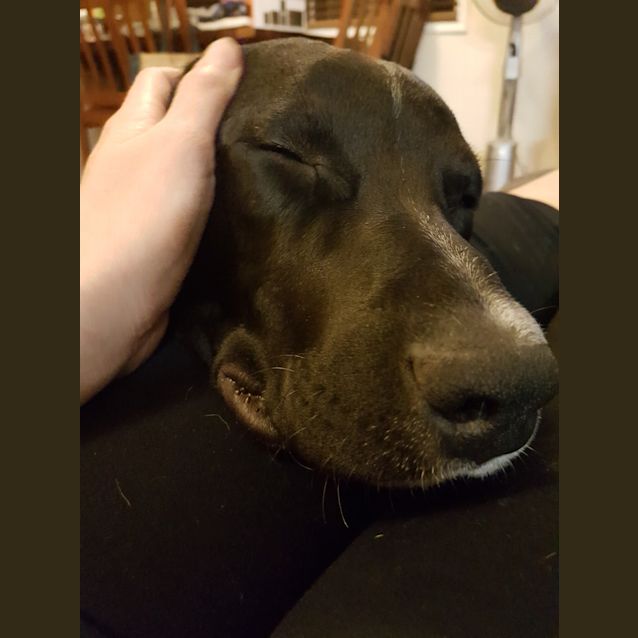 Photo of Theodore Aka Teddy 