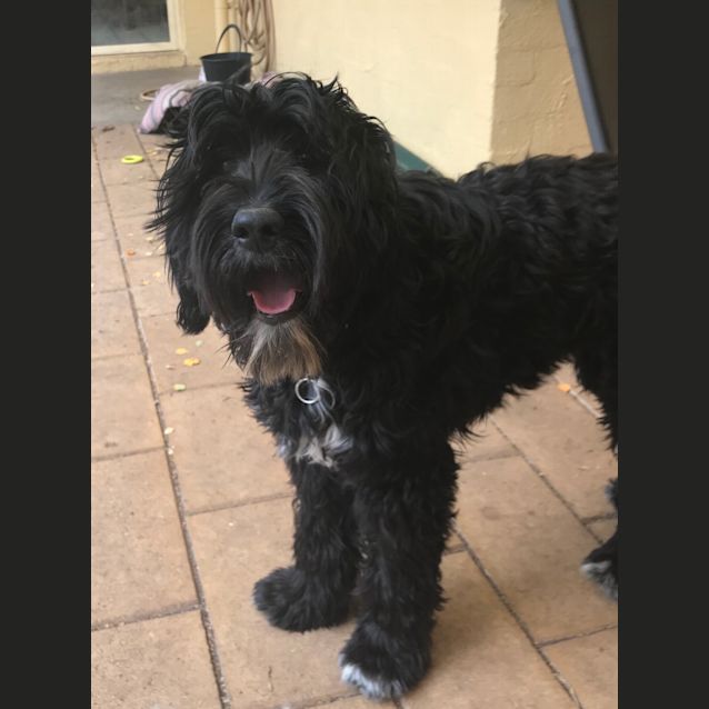 Photo of Lola 