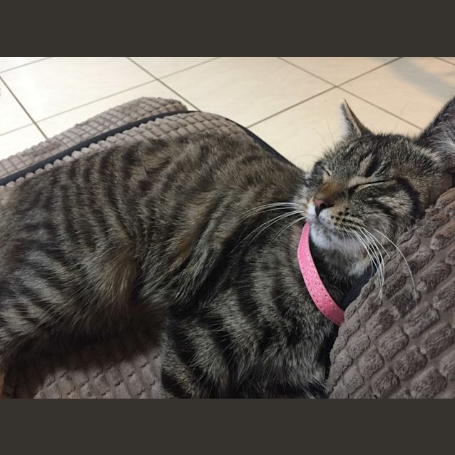 Photo of Mimi Ec0458