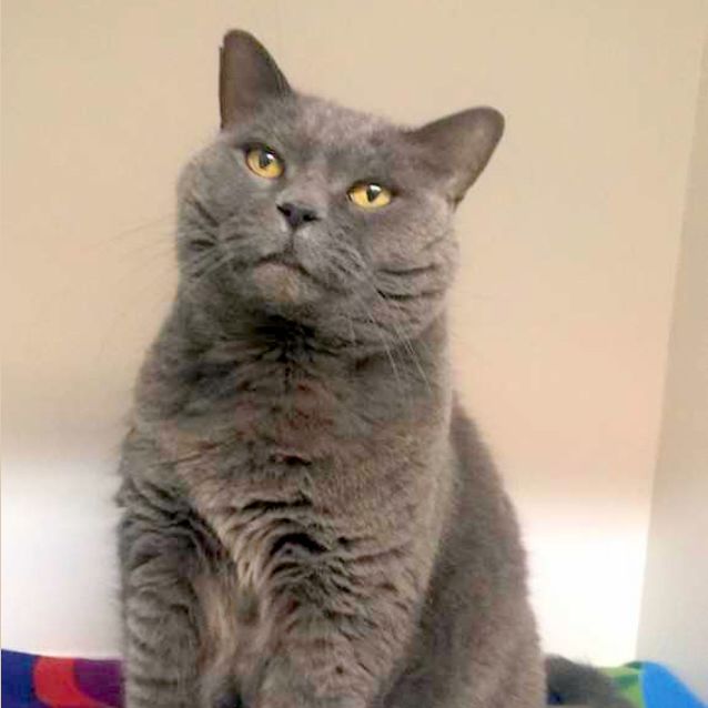 Photo of Tinka