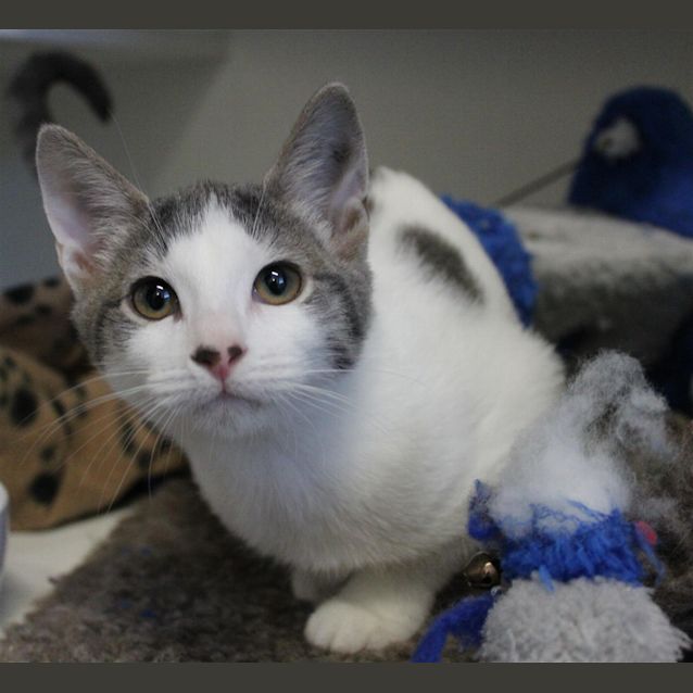 Photo of Eve