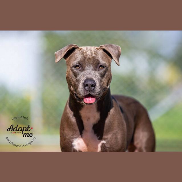 Photo of Addie (Pcc 240)