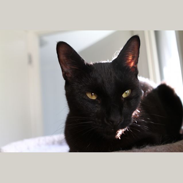 Photo of Ernie
