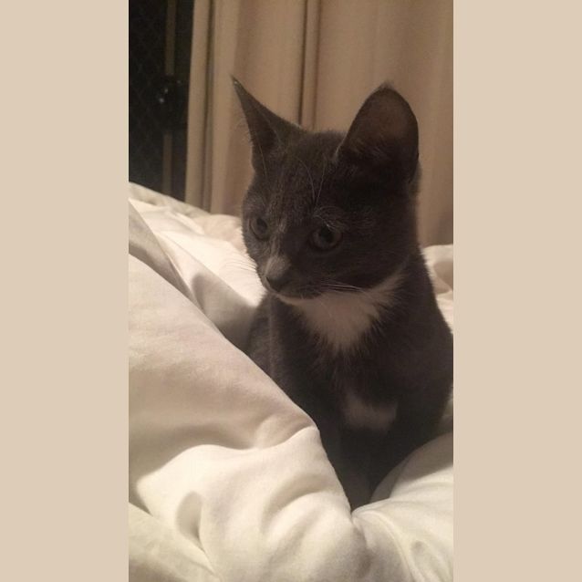 Photo of Cleo