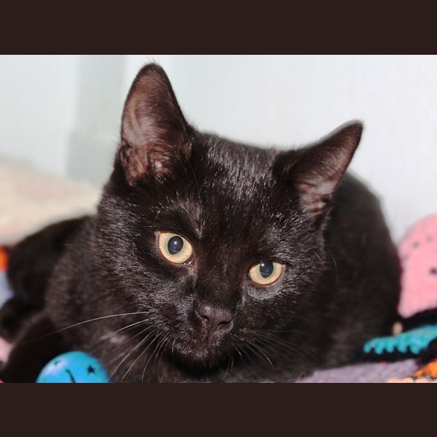 Photo of Jax