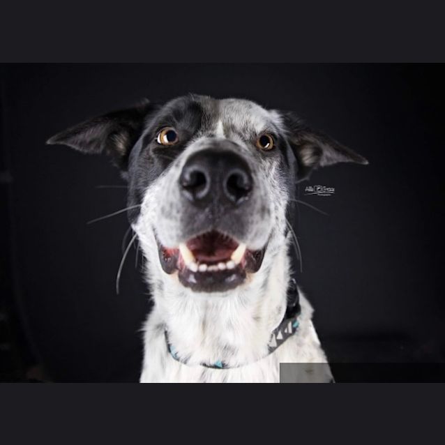 Photo of Mickey D 🌻