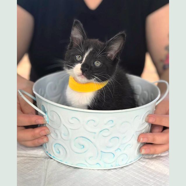 Photo of Leia 