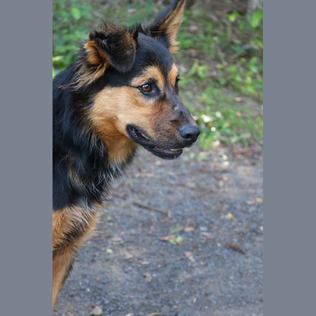 Photo of Dora