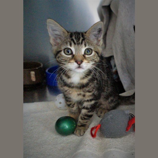 Photo of Uma