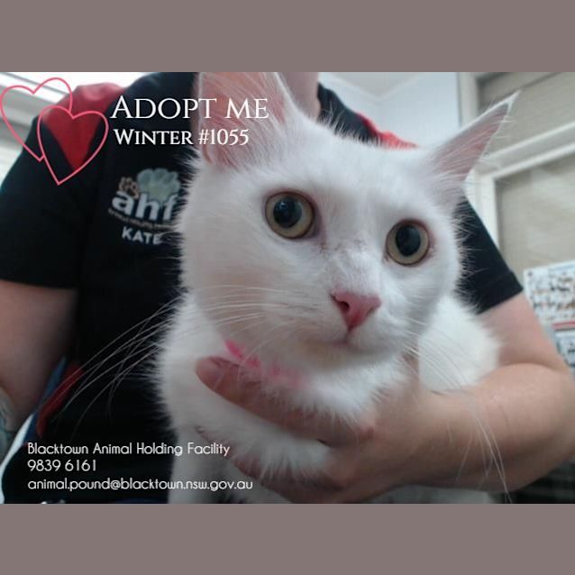 Photo of Winter (1055)