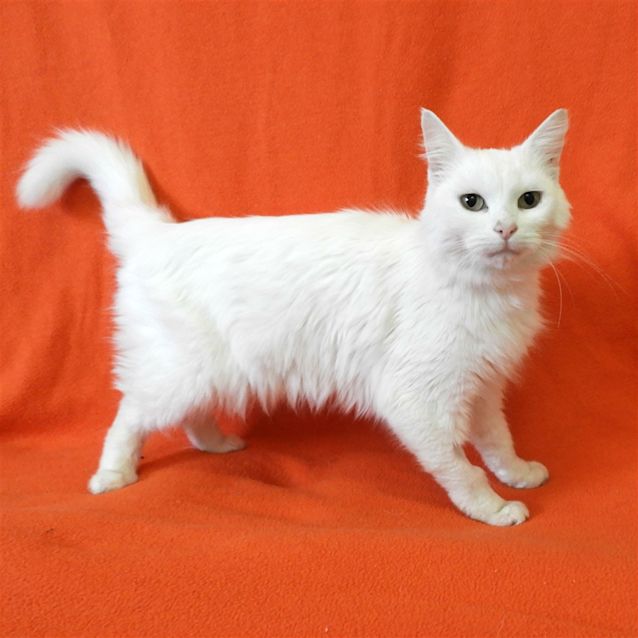 Photo of Aliza