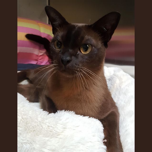 Photo of Max
