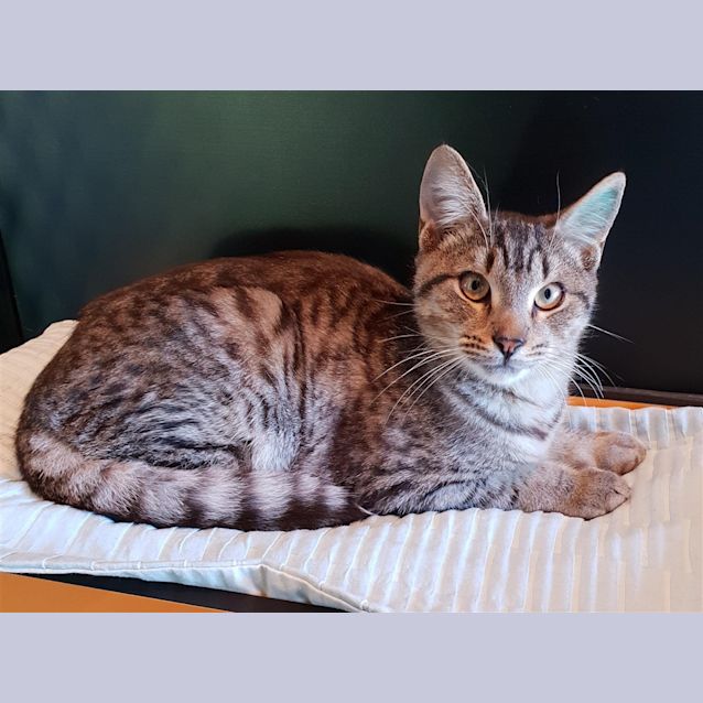 Photo of Mitzie