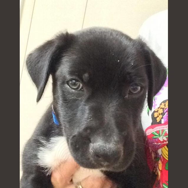 Photo of Mickey