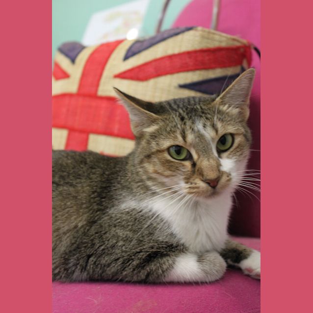 Photo of London Look