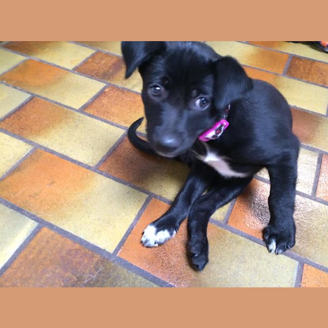 Photo of Minnie