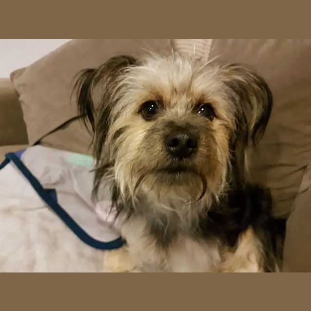 Photo of Baxter