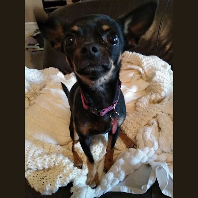 Photo of Jaz