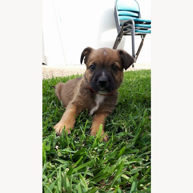Photo of Ted