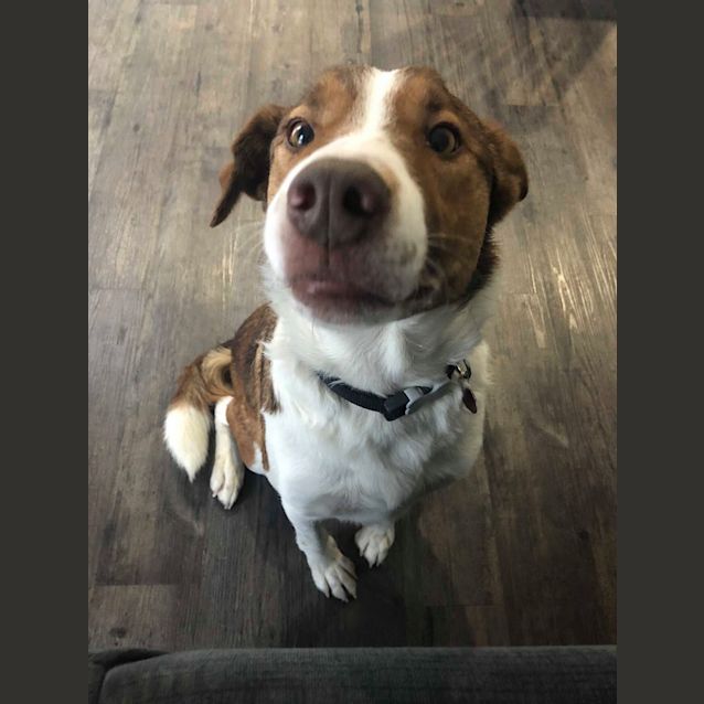 Photo of Echo