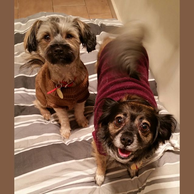 Photo of Clobelle & Trixielou