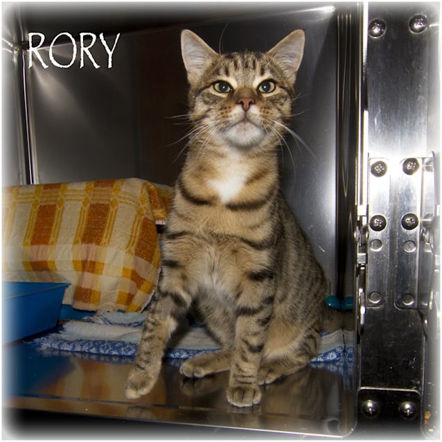 Photo of Rory