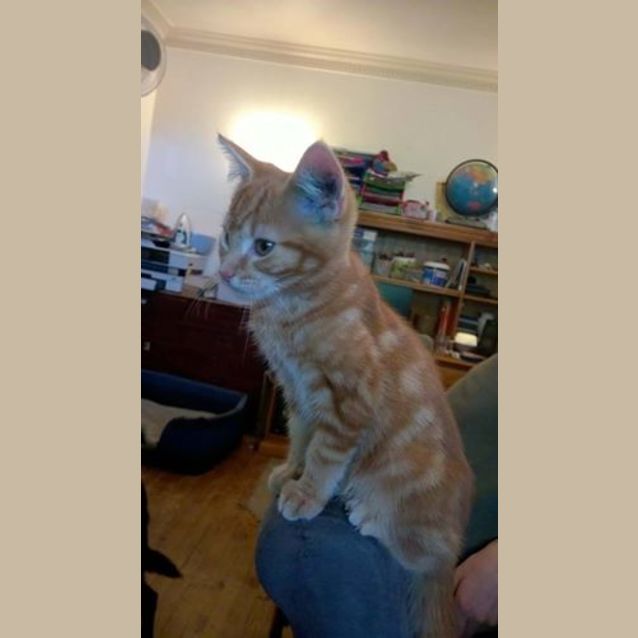 Photo of Varrick