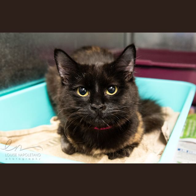 Photo of Celene (0736)