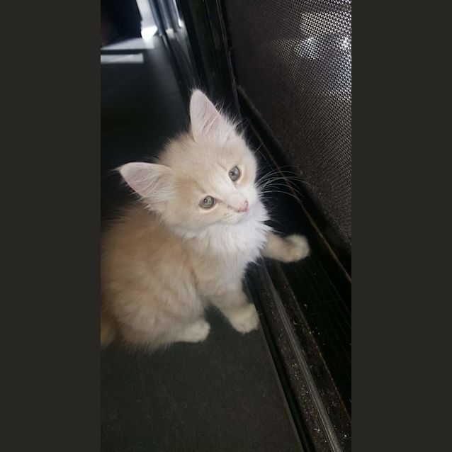 Photo of Ed