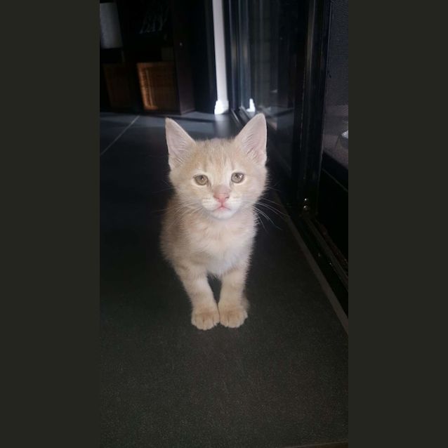 Photo of Rupert