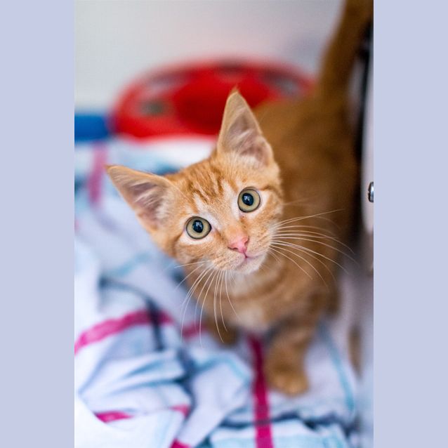 Photo of Clive