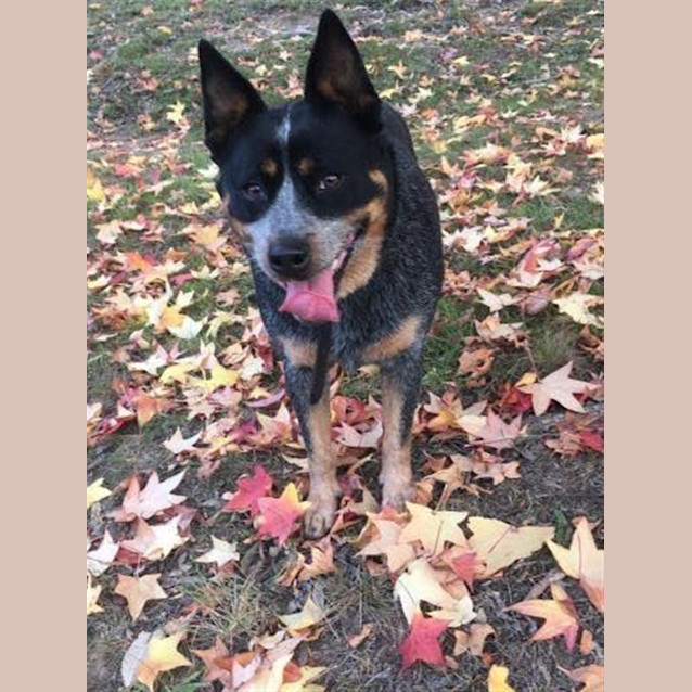 Photo of Belle