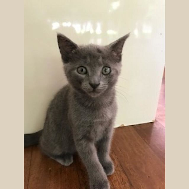 Photo of Gigi