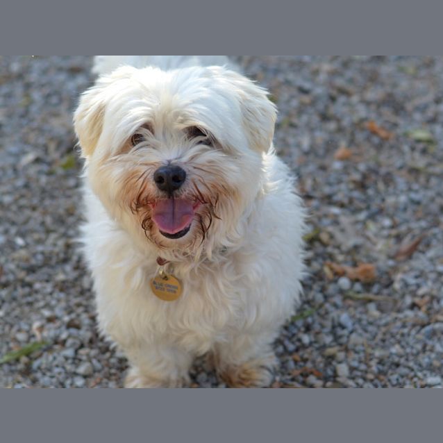 Photo of Benny