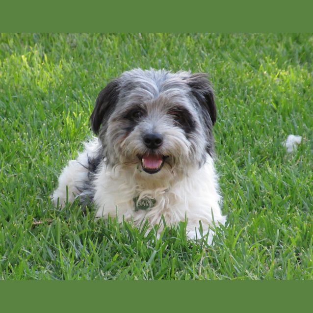 Photo of Willis *On Trial In His New Home*