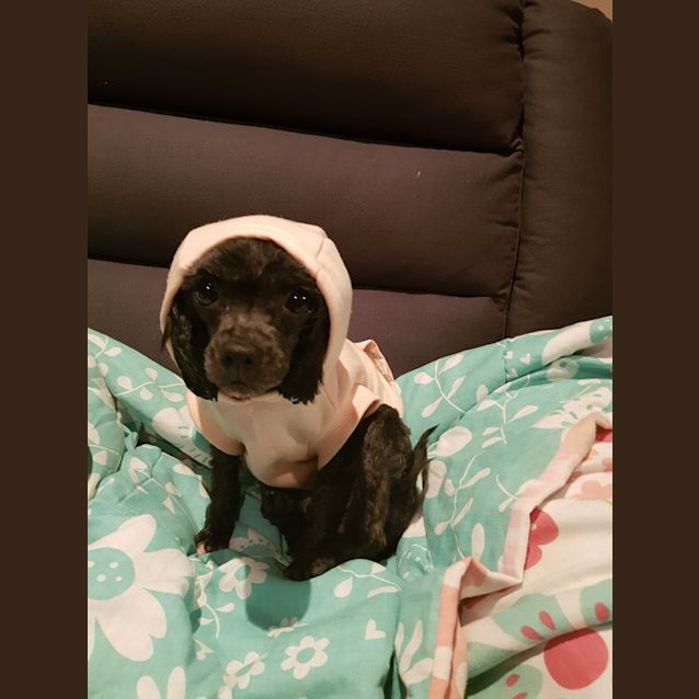 Photo of Annie