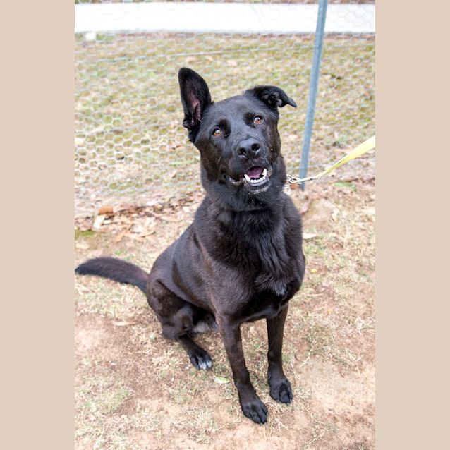 Photo of Jet