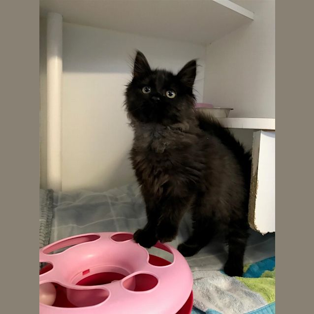 Photo of Fiona