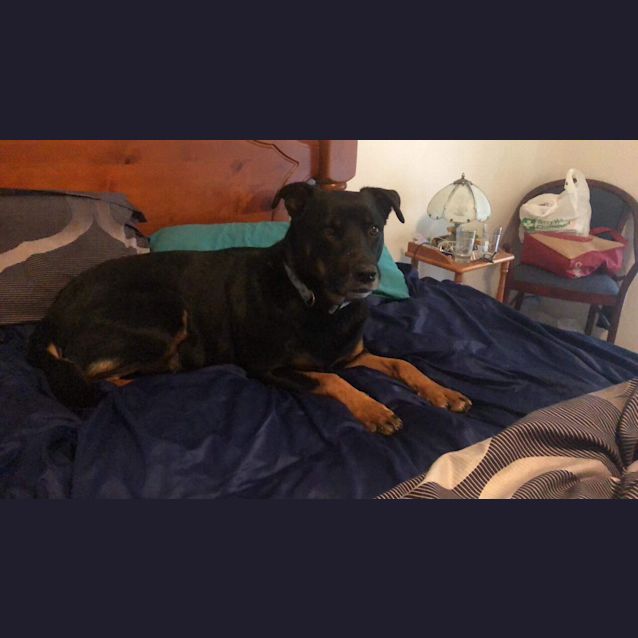 Photo of Betsy Db363